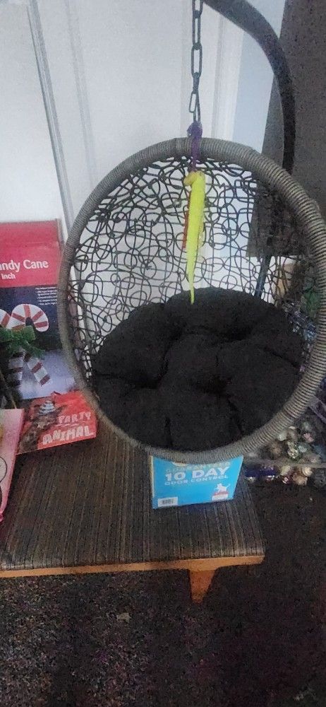 Cat Swing