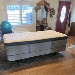 Electric Adjustable Bed Twin