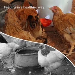 Chicken food/water feeder