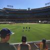 Dodger