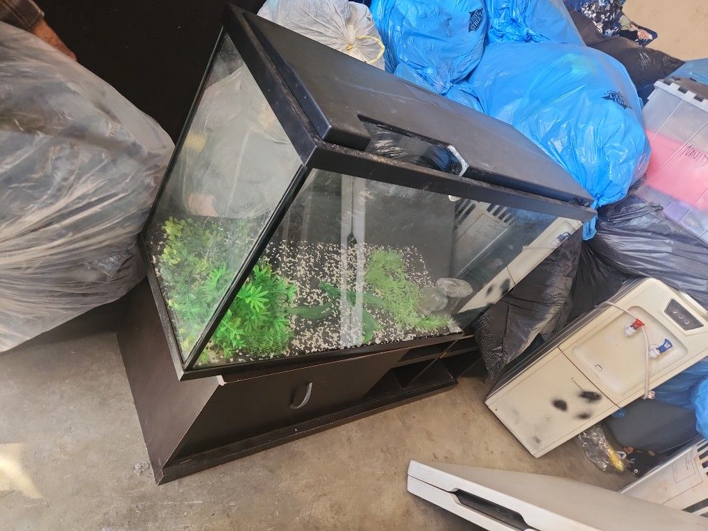 Pesera Fish Tank
