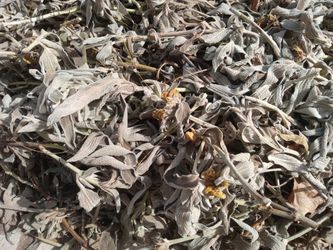 Organic Sage & Lavender 