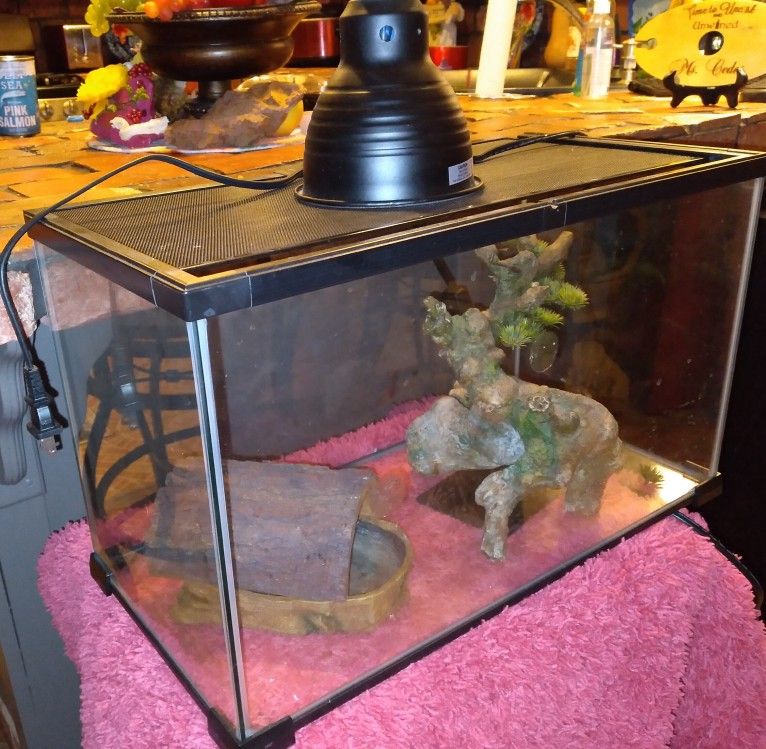 Heated, Lighted Reptile Habitat