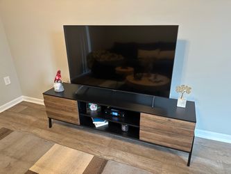 Modern TV Stand with Wood Panel Doors