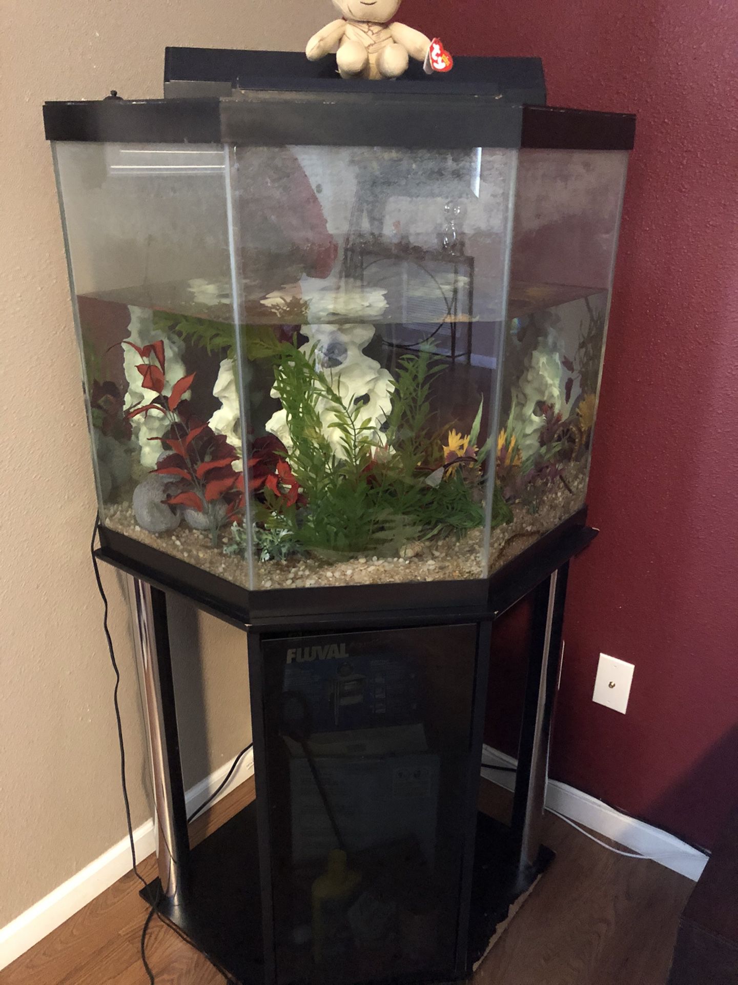 36 gallon aquarium