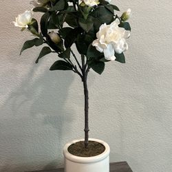 Gardenia Silk Plant In Ceramic Vase 29” Tall