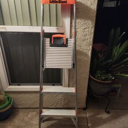 Little giant ladder