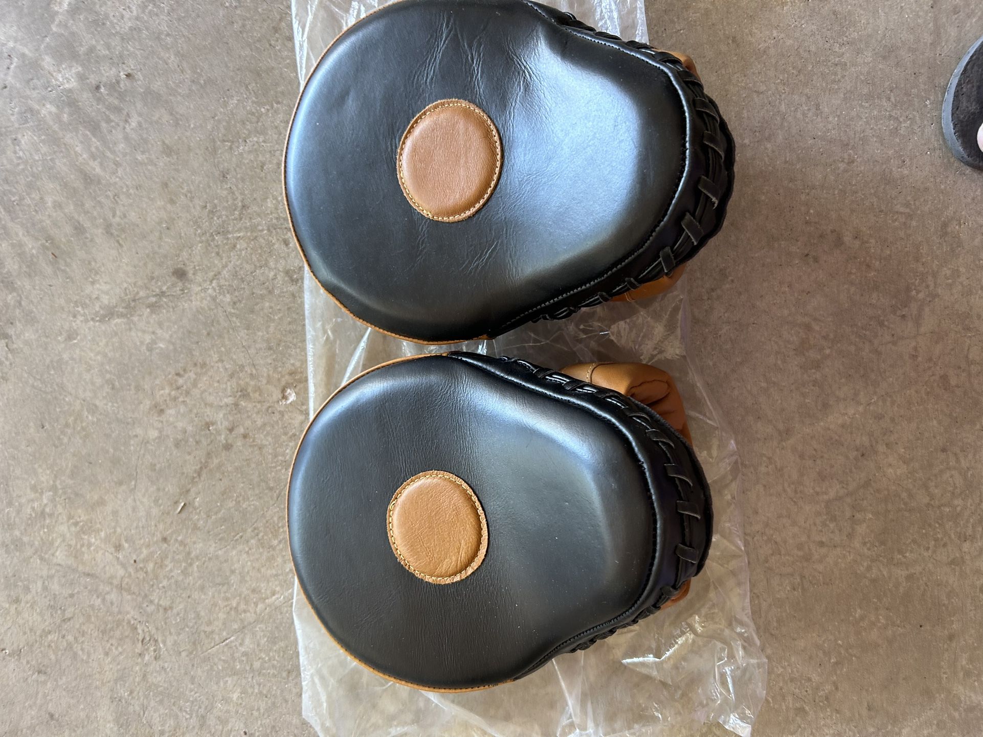 Aries Panther Focus Mitts Boxing