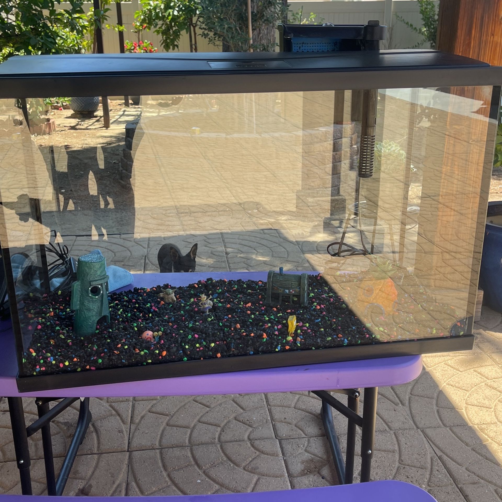 30 Gallon Fish Tank With Extras