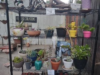 Spring potted plants and home Decore back yard sale