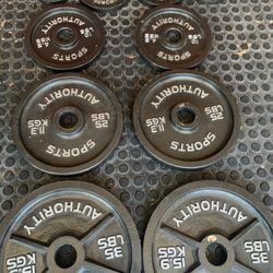 Sports Authority Olympic Weights Set