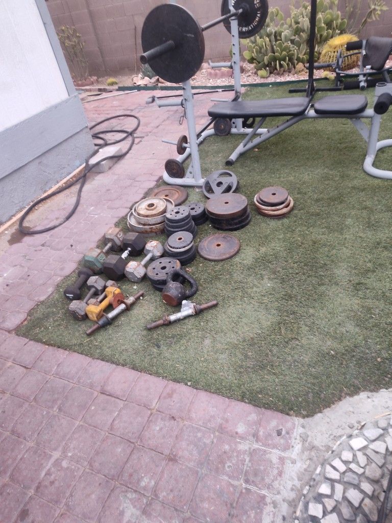 Weight Set Lots Of Weight And Bars And Bench Press Paded Part For Doing