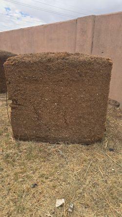 compressed coconut coir blocks.