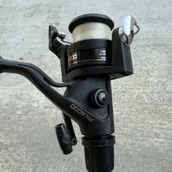 Shimano FX 4000 spinner on 7’6” Heavy Action Quantum Energy rod #32