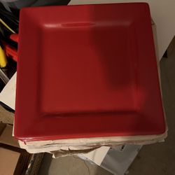 Dinner Plates