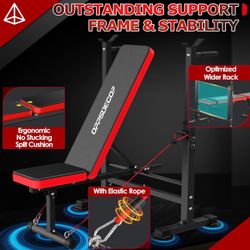 Weight Bench 