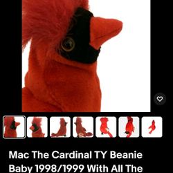 🍀 Lot of 3 TY Beanie Babies – 2 Erin Irish Bears + 1 Cardinal mac (Rare Vintage Set)
GOODWYN'S where GOOD-WINS