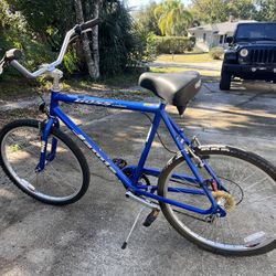 Vintage Jamis Boss Beach Cruiser