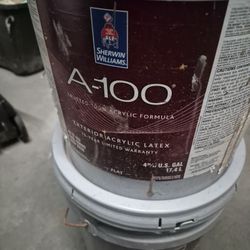 2- 5 Gal Paint 