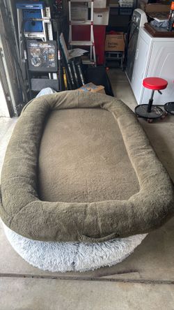 Dog human bed