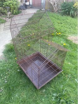 Cockatiel/budgie cage