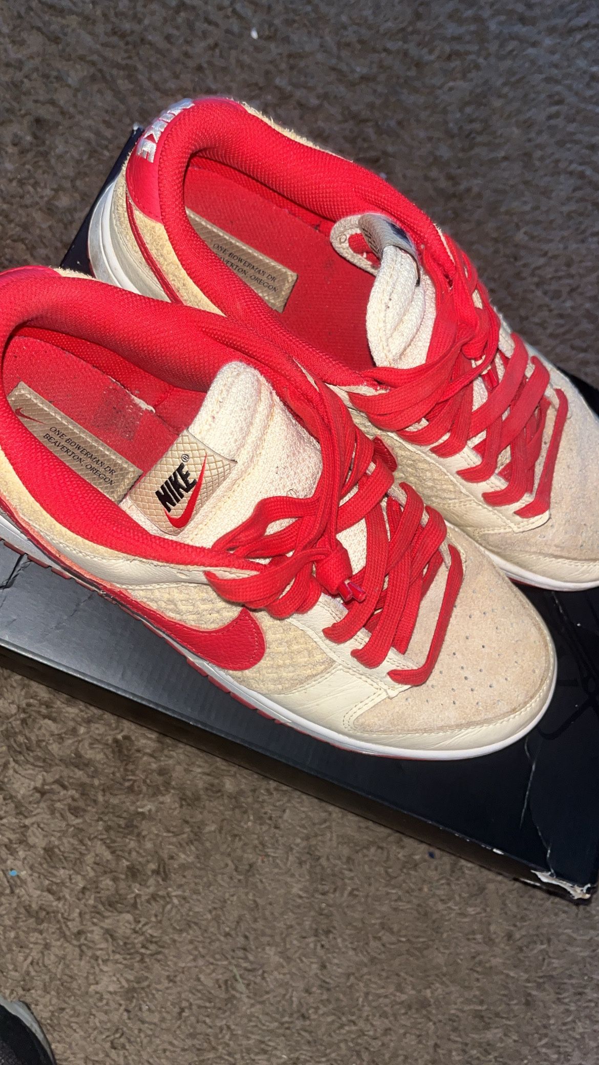 Nike Dunks