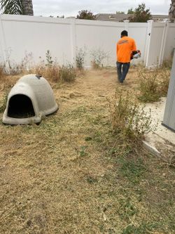 Weeds Cleaning