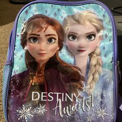 Frozen Bookbag