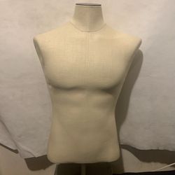 Mannequin Male Torso