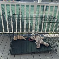 XL Dog Crate 