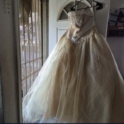 Quinceaṅera Dress For Women Adjustable Size 2XL/3XL 