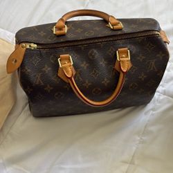 Louis vuitton Bags