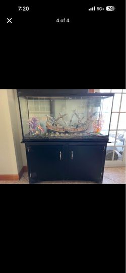 Aquarium fish tank