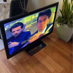 Panasonic Flat Screen