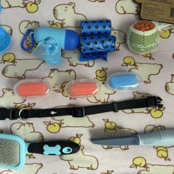 Dog Accessories 