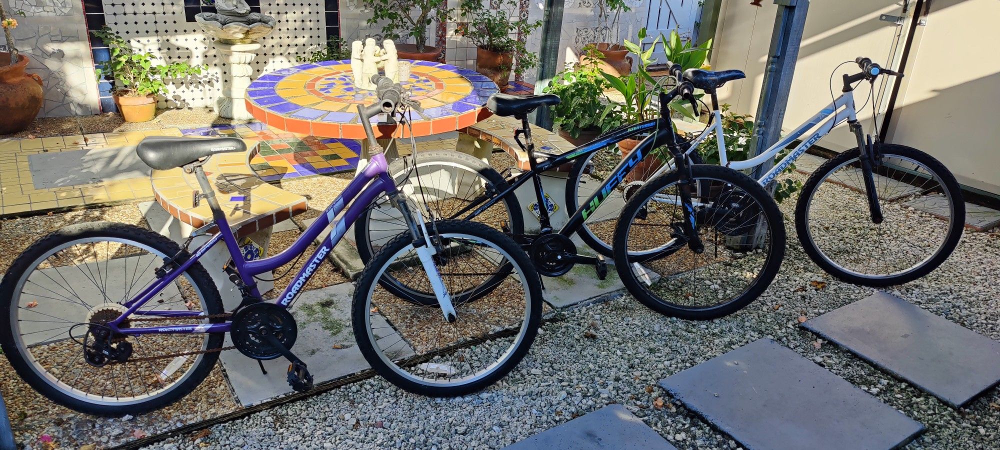 3 Bicycle $40 Each. All For $100. AS IS