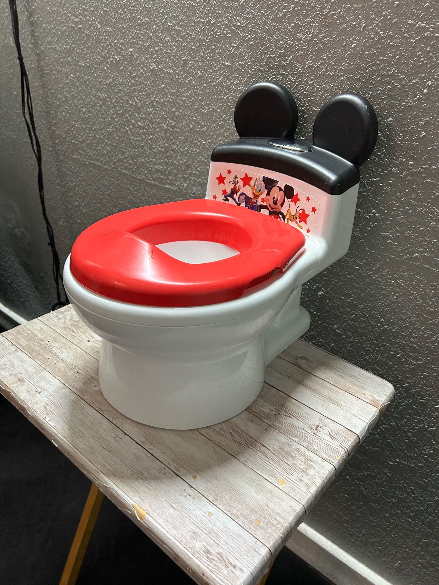 Potty Training Toilet