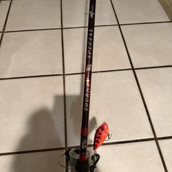 Fishing Pole With Reel