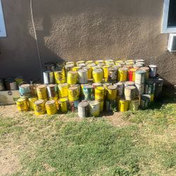 Oil Paint Best Offer