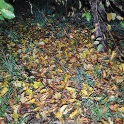 Trade Work For Man Toys .Hunting.Offroad.exc.