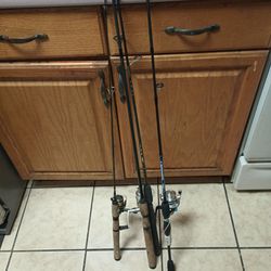 Rods And Reels Light To Medium 