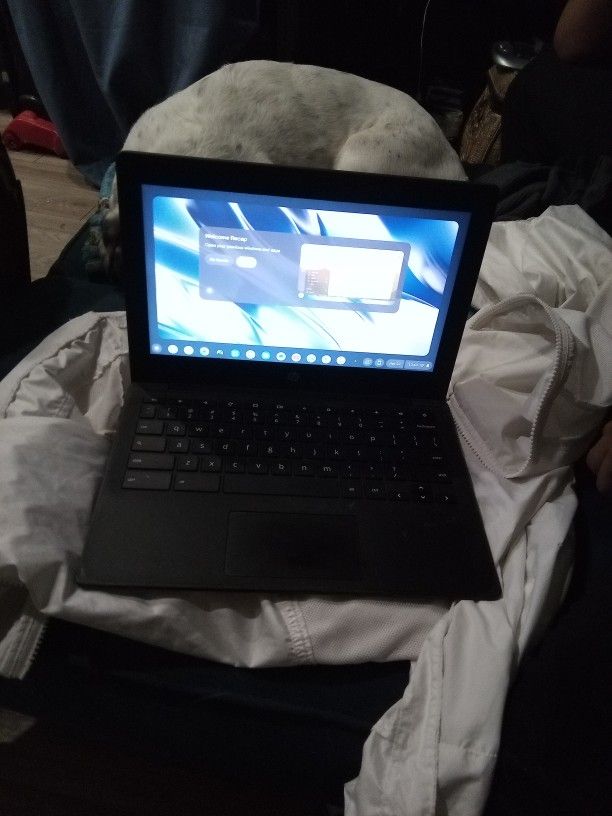 Chromebook 11 G9 EE