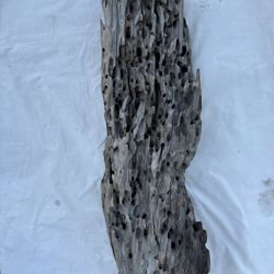 Driftwood 