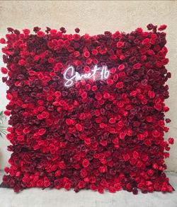 Red Rose Wall