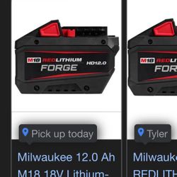Milwaukee forge battery12ah