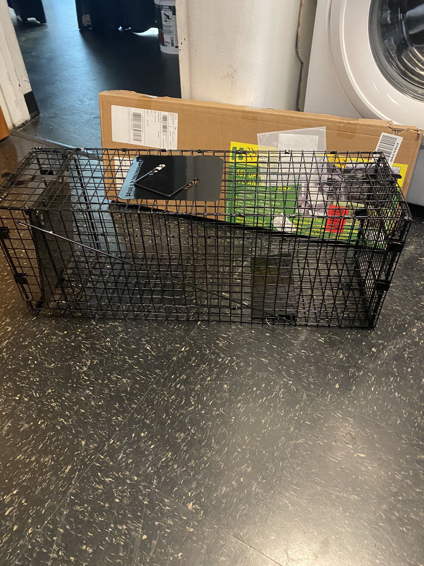 Animal Trap
