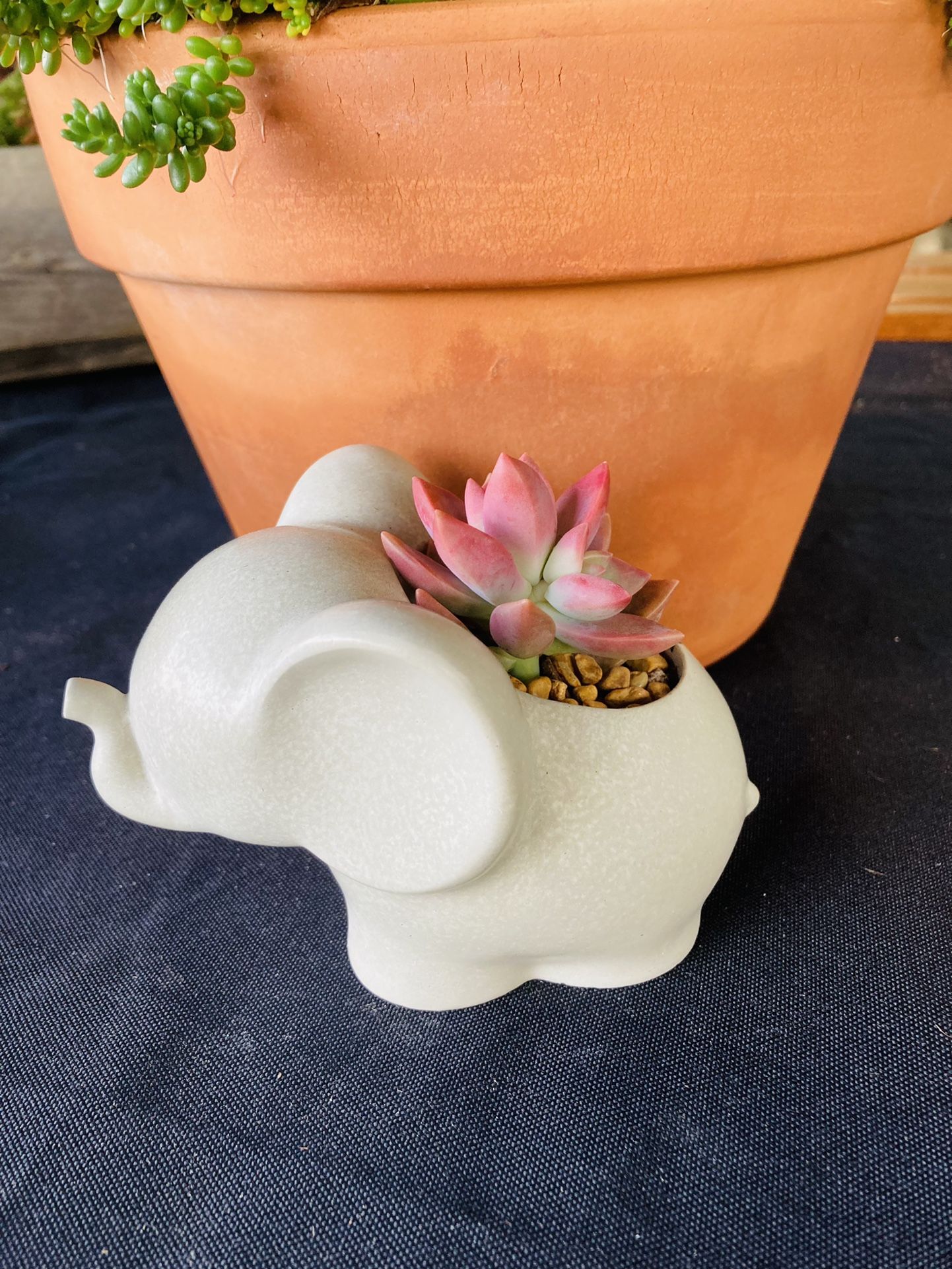 Small Cement Elephant Succulent Pot