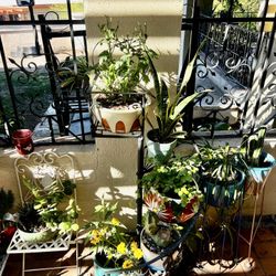 Spiral Vintage Plant Stand 