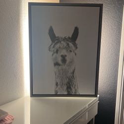 Wall Frame 