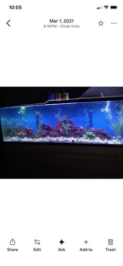 125 Gallon Tank